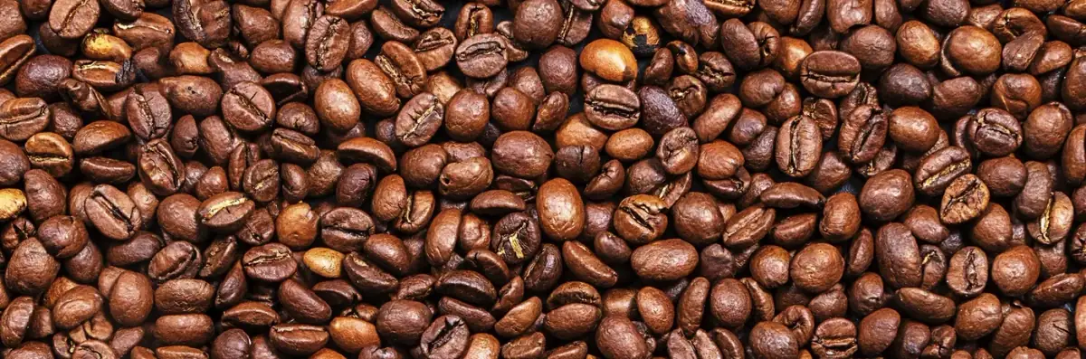 Close-up of roasted coffee beans.