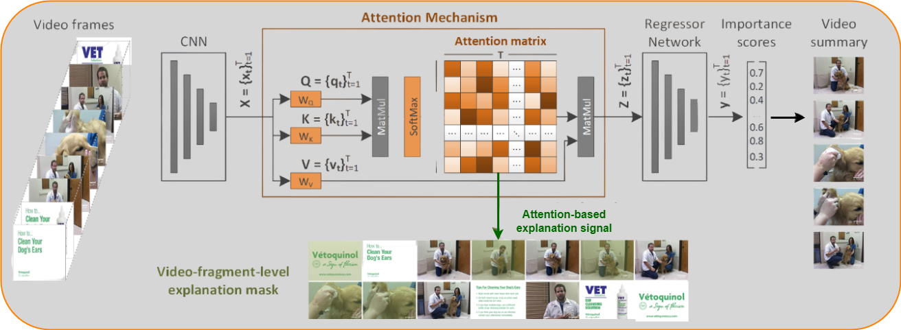 Explaining video summarization based on the focus of attention